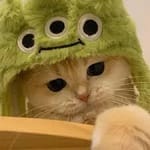 Julieta Rivera avatar